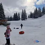 Daire форест нук