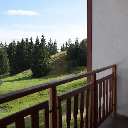 форест нук Apartament