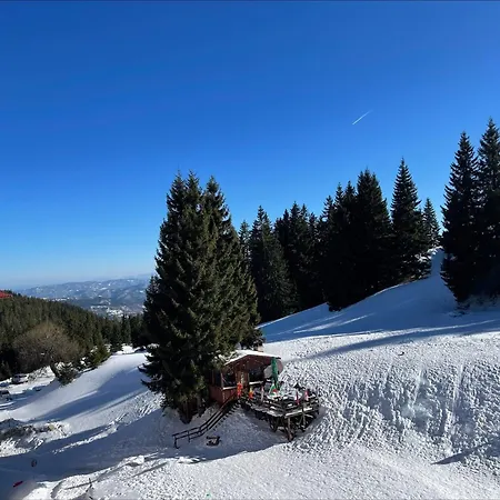 форест нук * Pamporovo